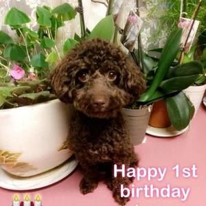 Meet your Posher, Emmanuel